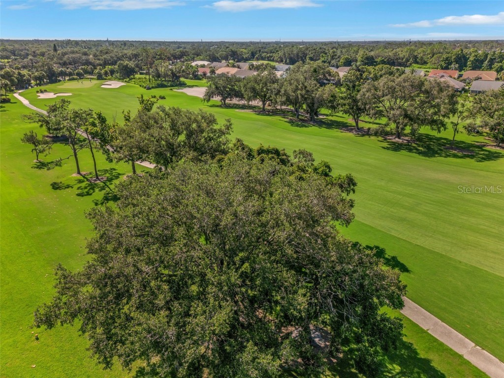 6908 Drewrys Bluff #704 Bradenton FL 34203 A4662478 image25