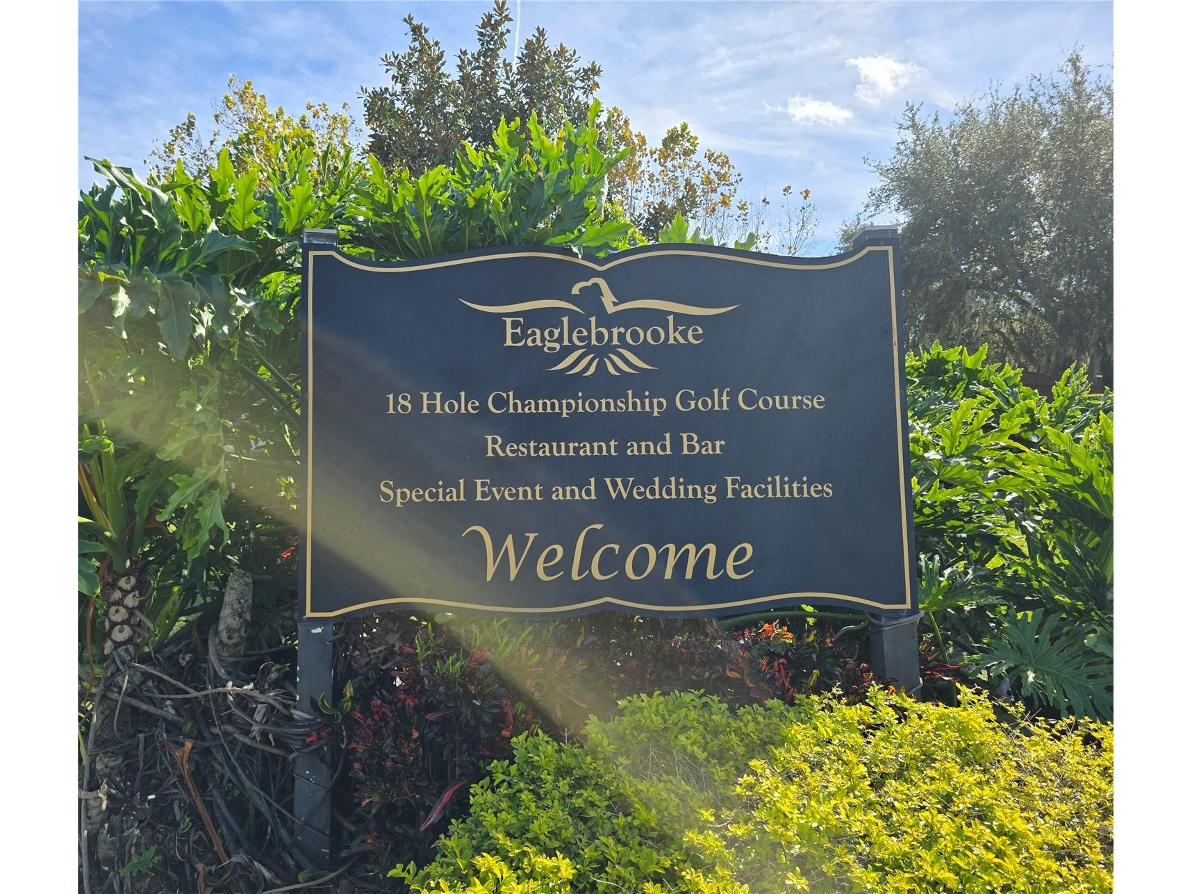 6908 Eagle Ridge Blvd Lakeland FL 33813 TB8451681 image51