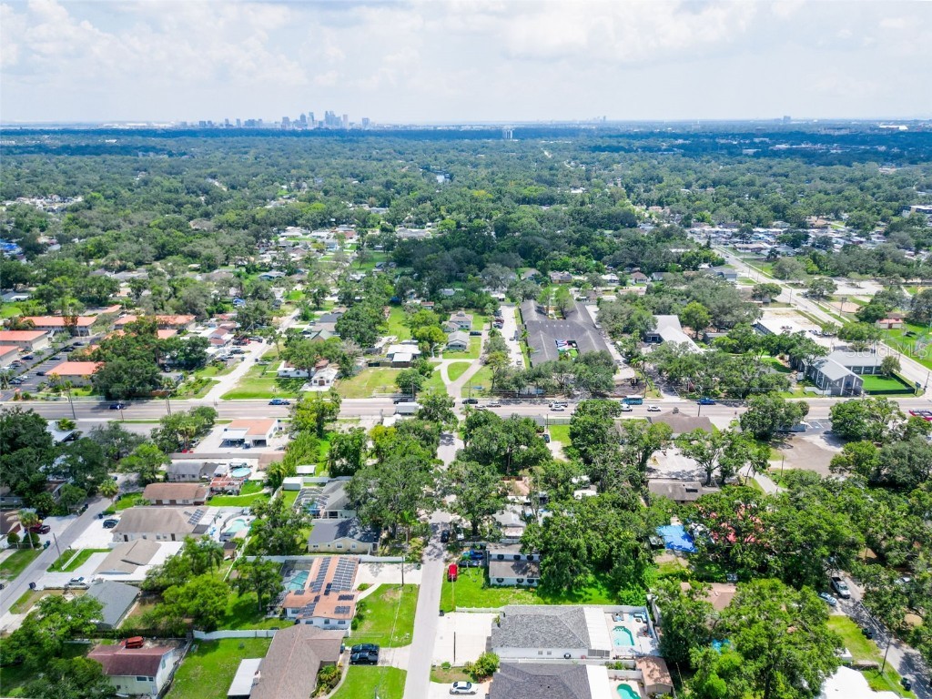 6908 N Oregon Avenue Tampa FL 33604 S5131832 image49