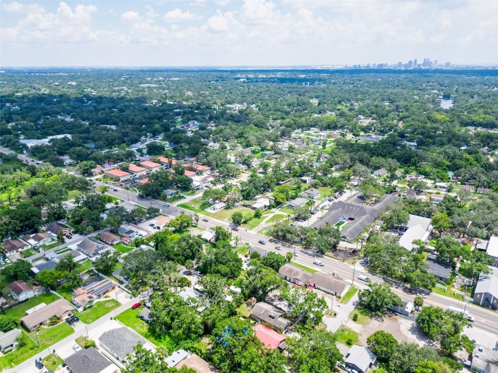 6908 N Oregon Avenue Tampa FL 33604 S5131832 image52