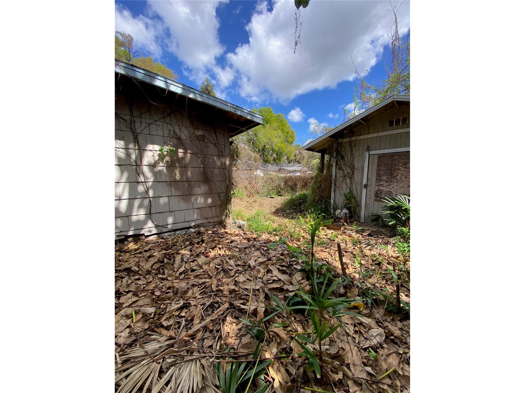 6909 N Navin Avenue Tampa FL 33604 TB8487562 image18