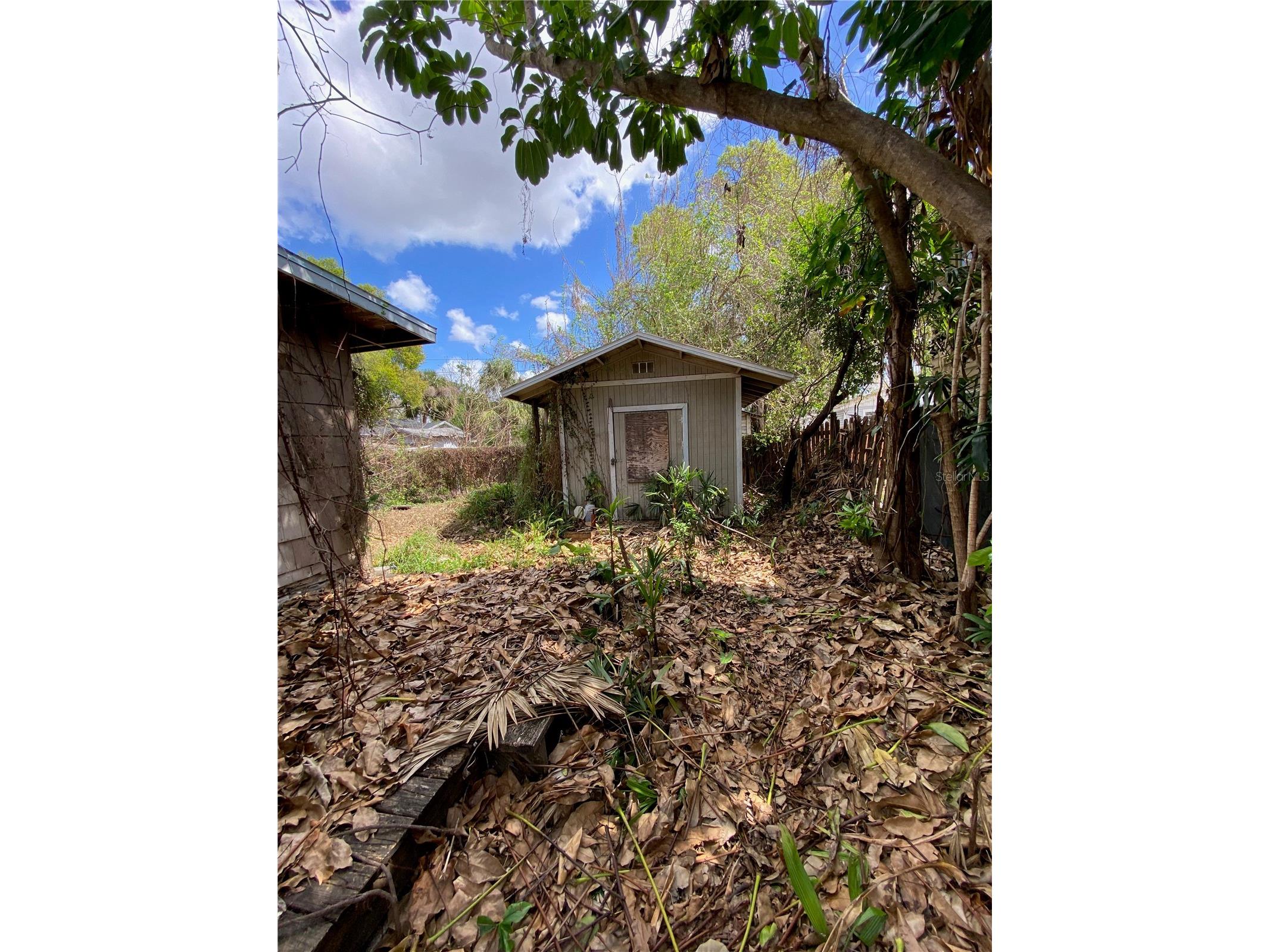 6909 N Navin Avenue Tampa FL 33604 TB8487562 image19