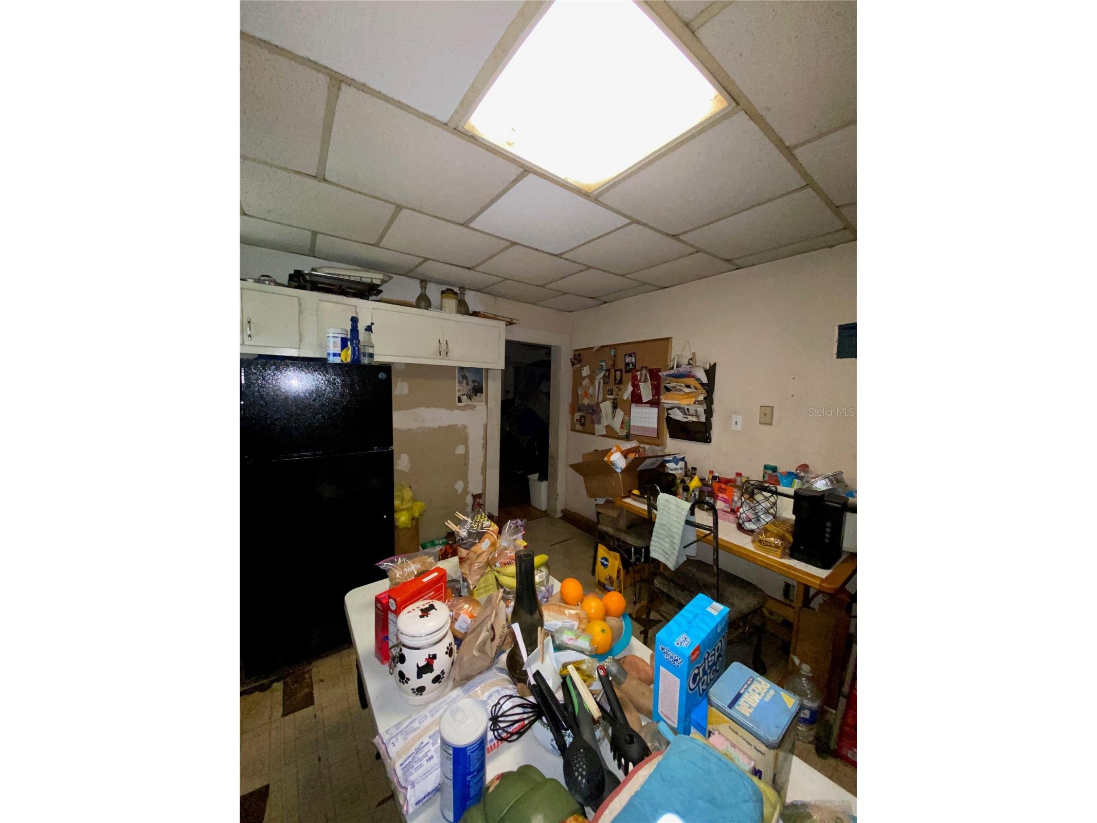 6909 N Navin Avenue Tampa FL 33604 TB8487562 image9