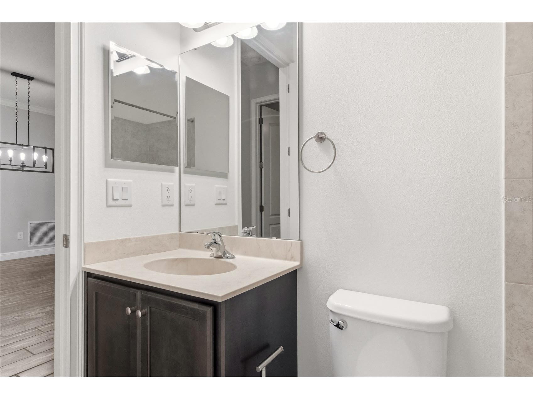 691 Challice Drive Spring Hill FL 34609 TB8494279 image28