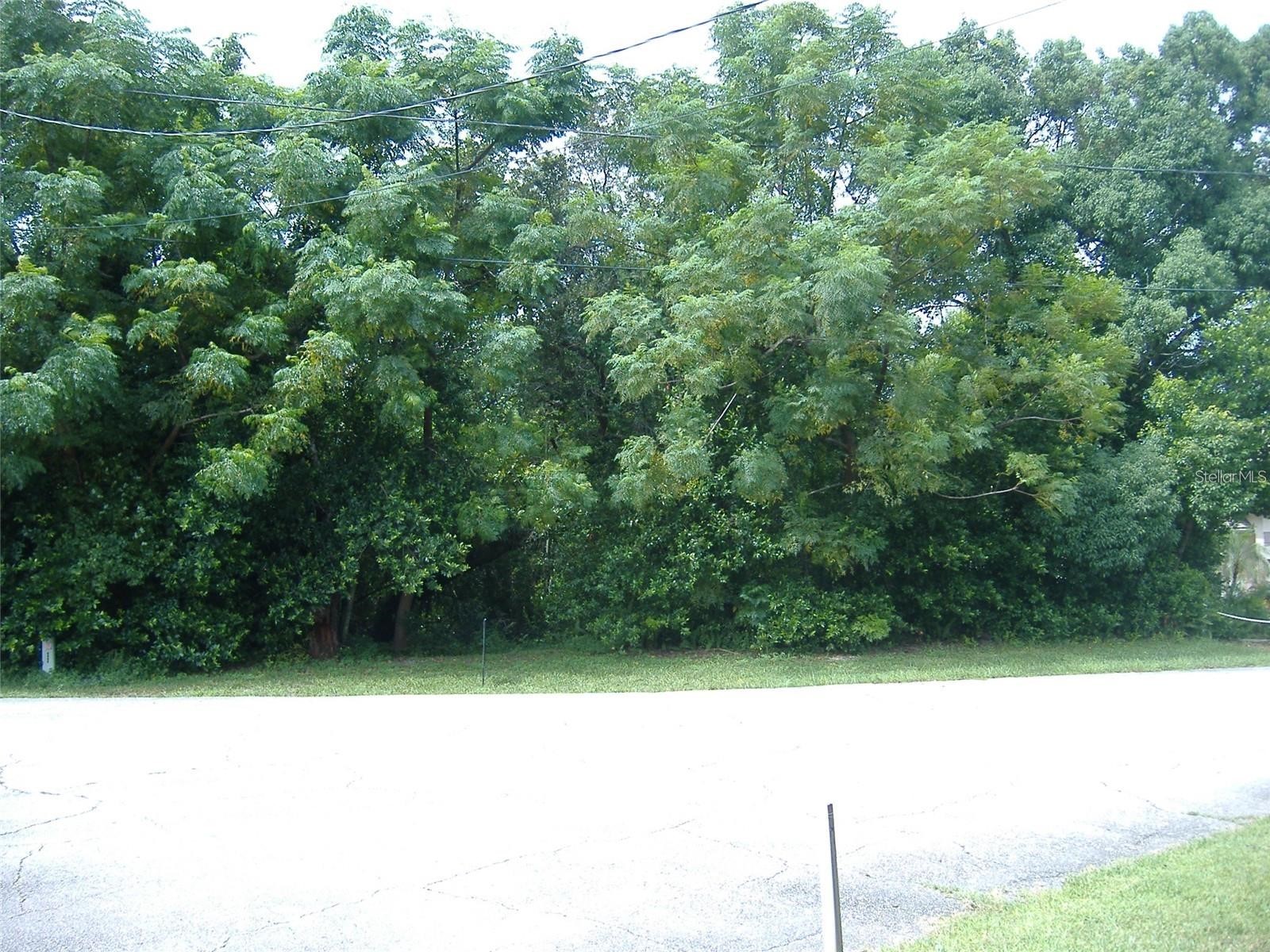 691 E Goodrich Drive Deltona FL 32725 O6397286 image1