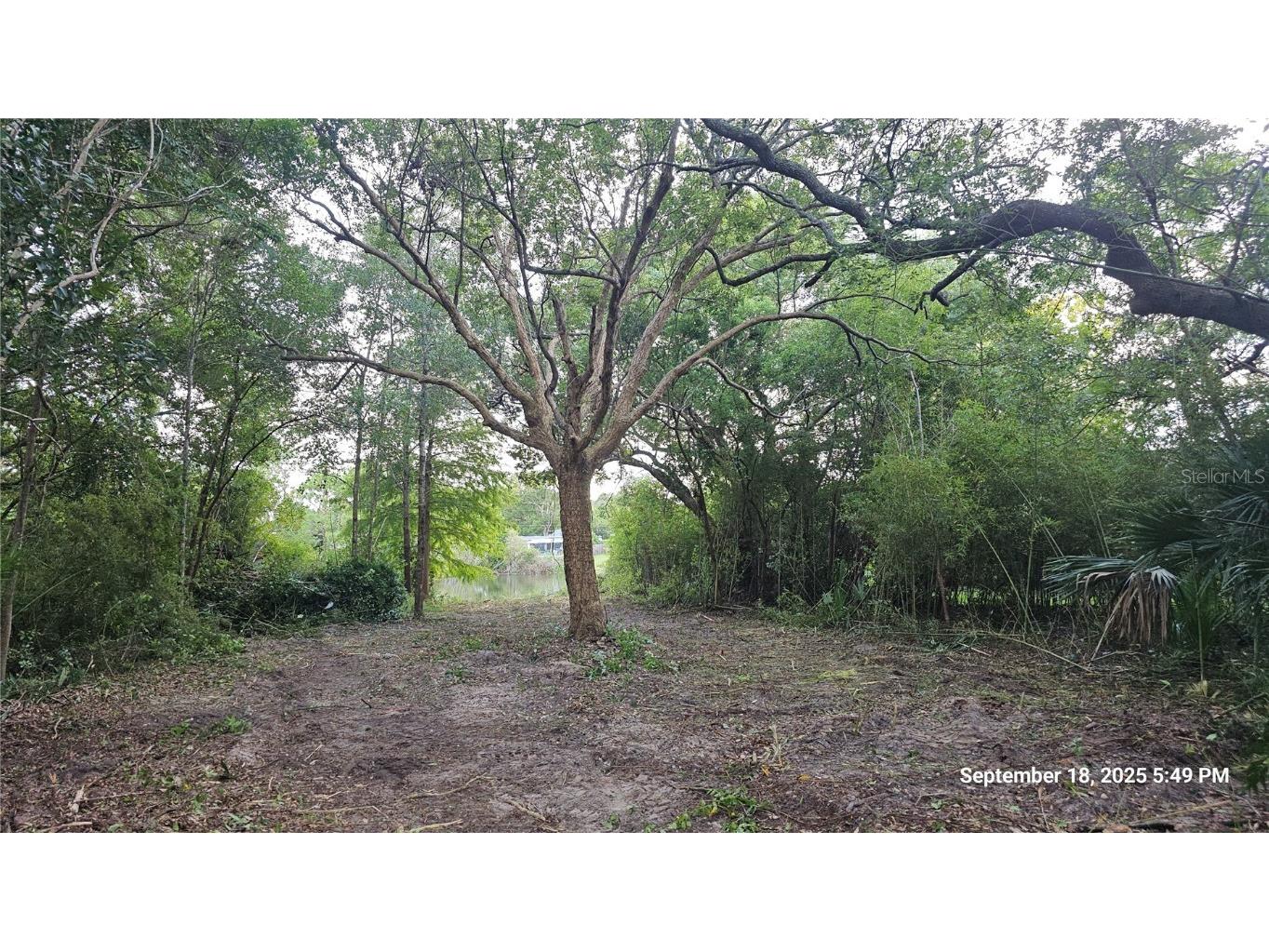 691 Piedmont Drive Deltona FL 32725 V4944993 image9