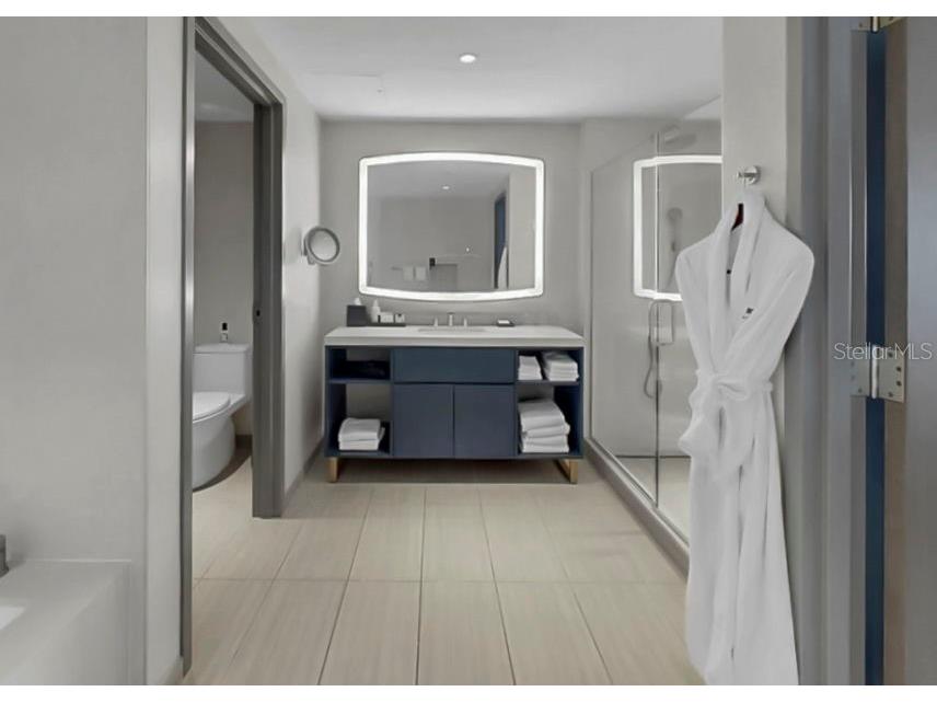 691 S Gulfview Boulevard #1410 Clearwater Beach FL 33767 TB8462252 image33