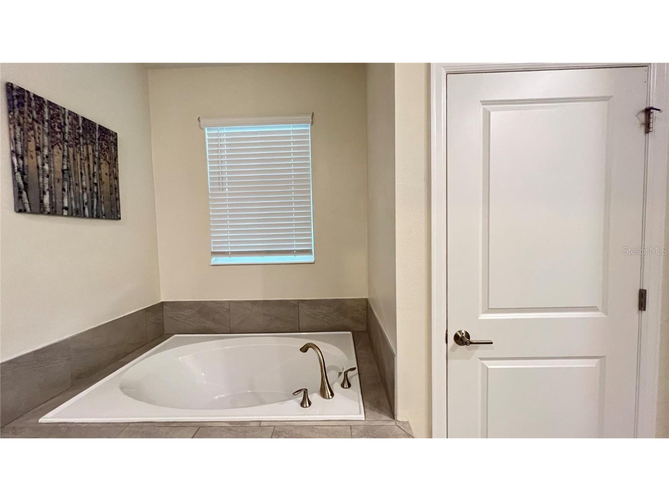 691 Sticks Street Davenport FL 33896 S5131799 image14