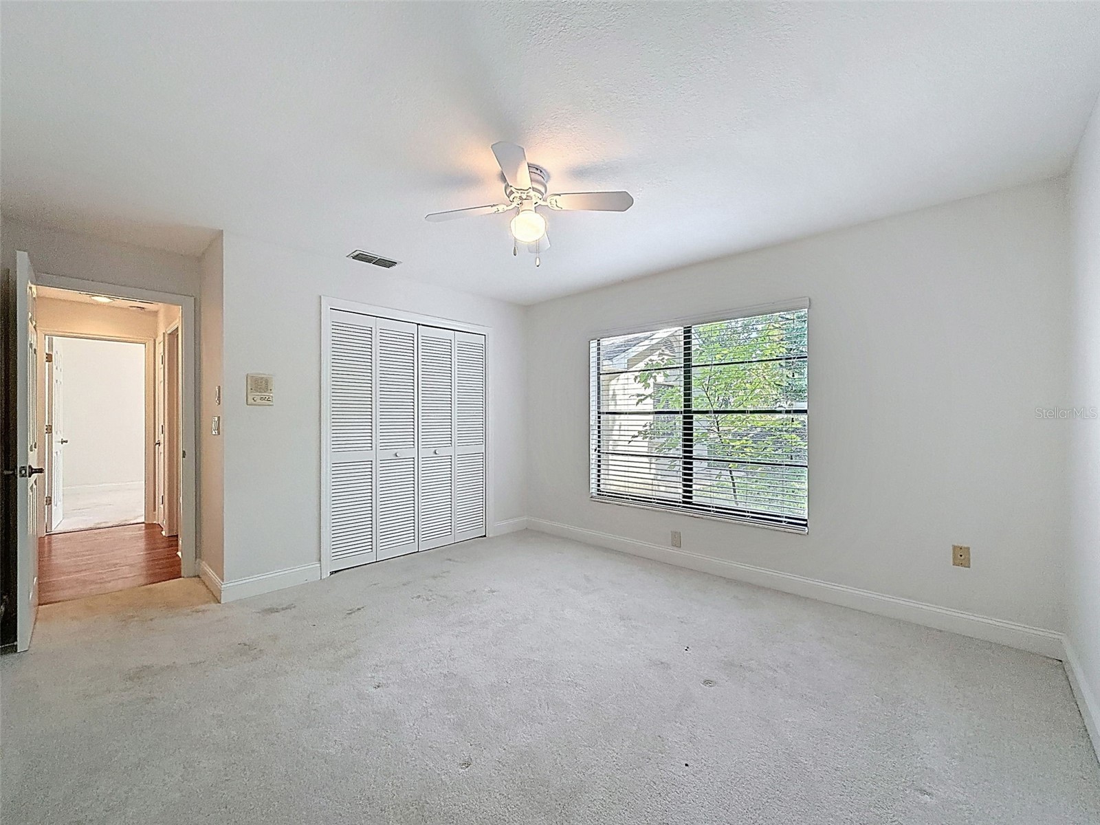 6910 Daubon Court New Port Richey FL 34655 W7884795 image42