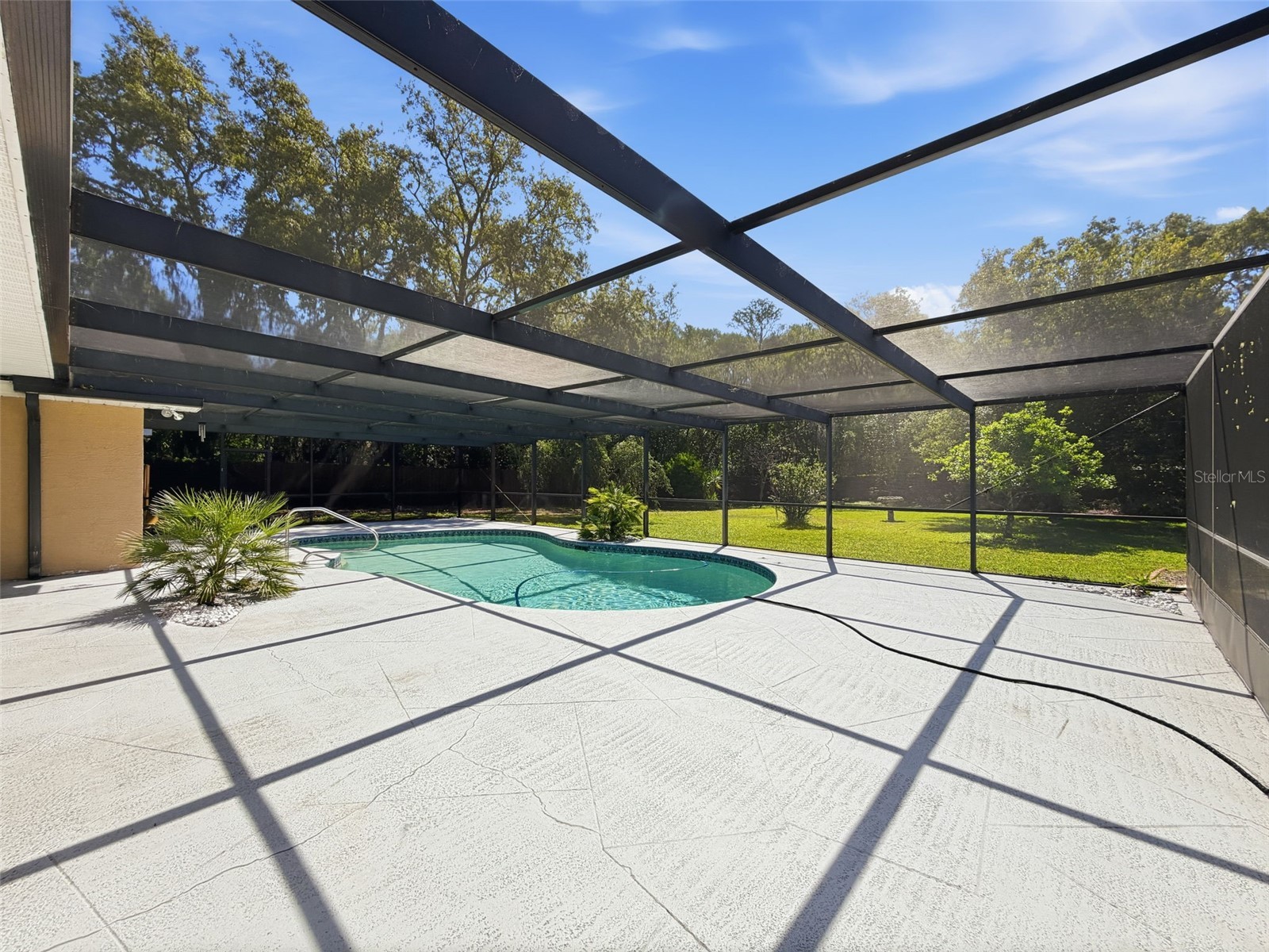 6910 Daubon Court New Port Richey FL 34655 W7884795 image48
