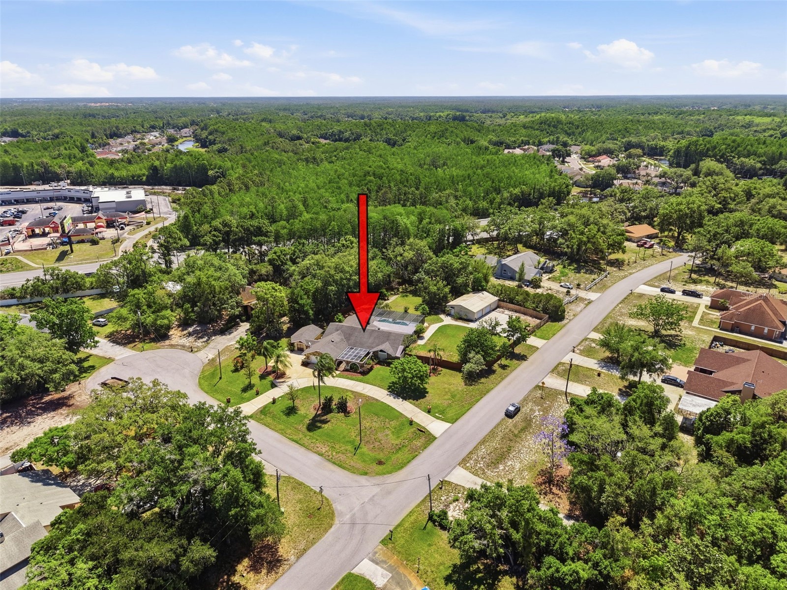 6910 Daubon Court New Port Richey FL 34655 W7884795 image65