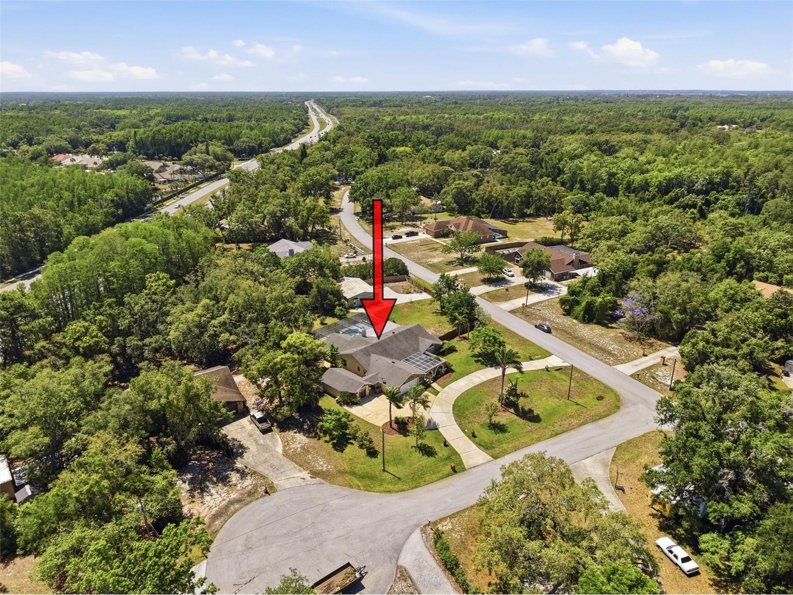 6910 Daubon Court New Port Richey FL 34655 W7884795 image66