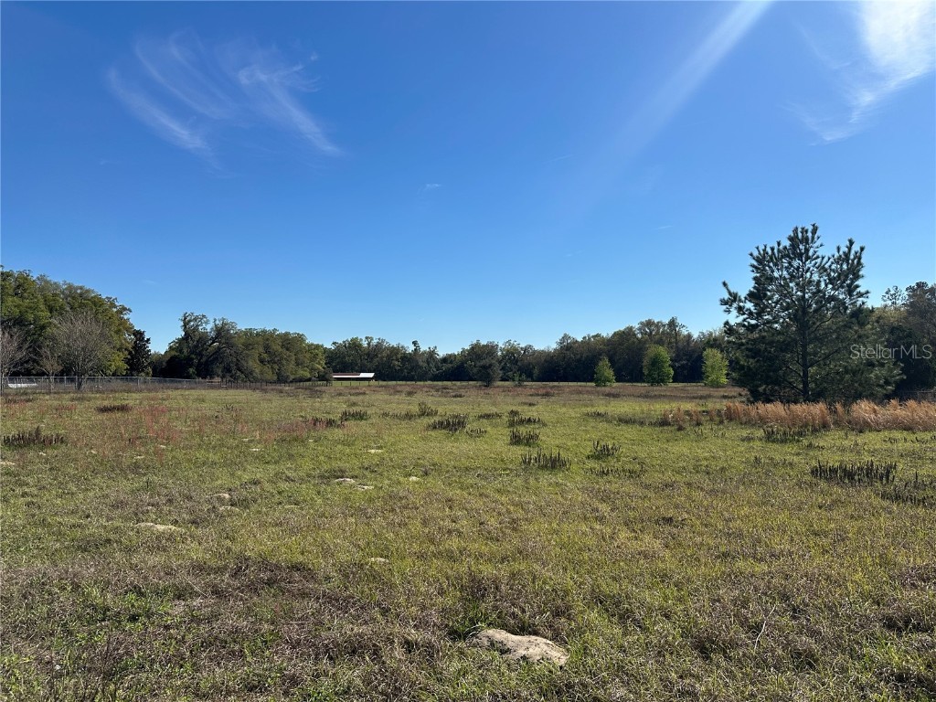 6910 SE Highway 42 Summerfield FL 34491 OM697300 image9