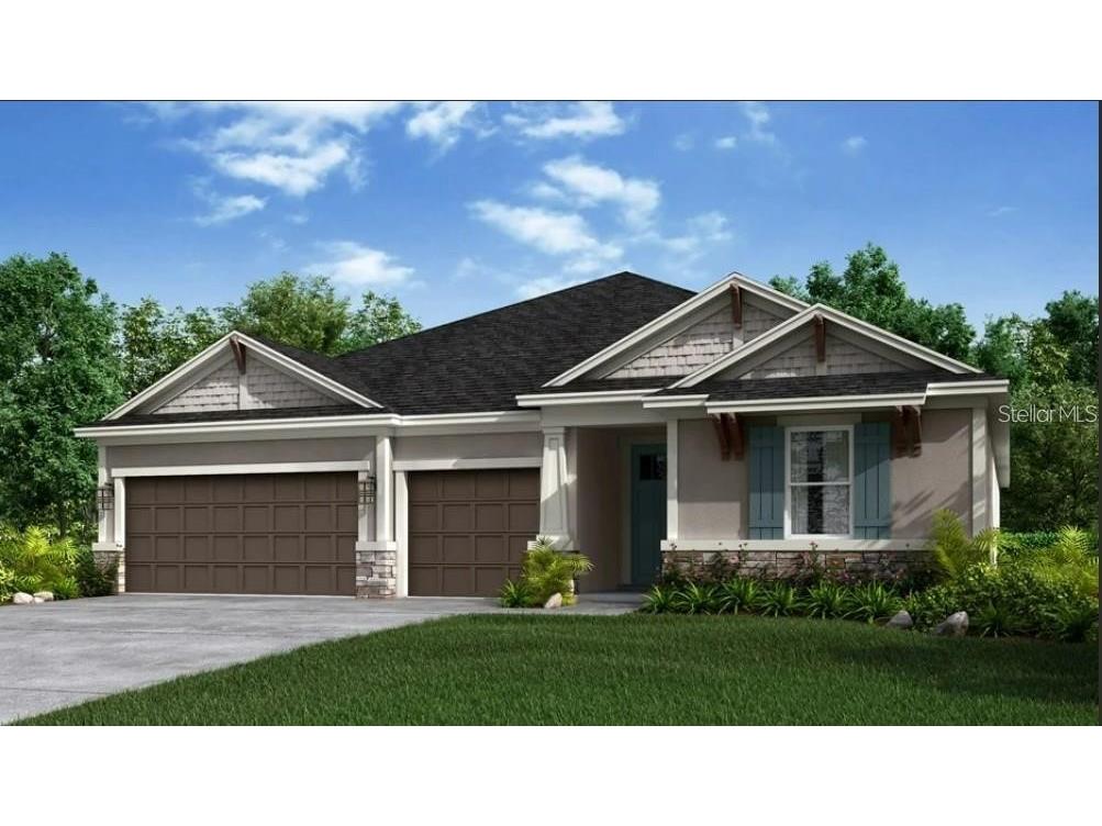 6910 Talamore Drive Wesley Chapel FL 33545 J964455 image1