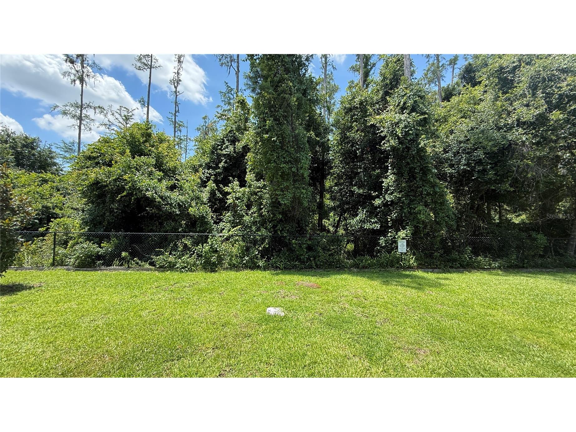 6910 Tussilago Way Orlando FL 32822 O6413208 image20