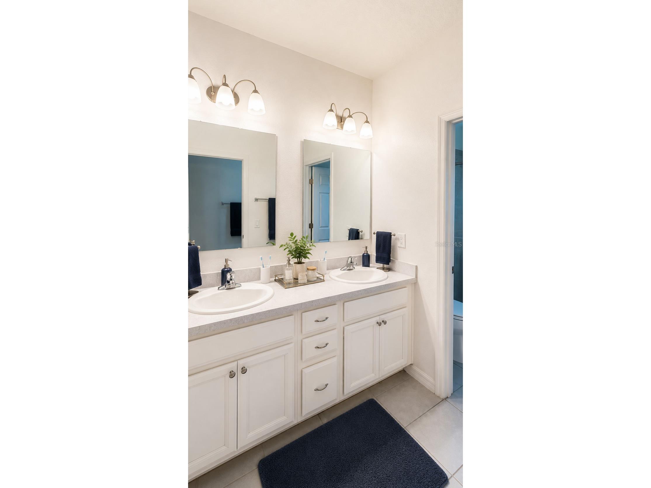 6910 Tussilago Way Orlando FL 32822 O6413208 image9