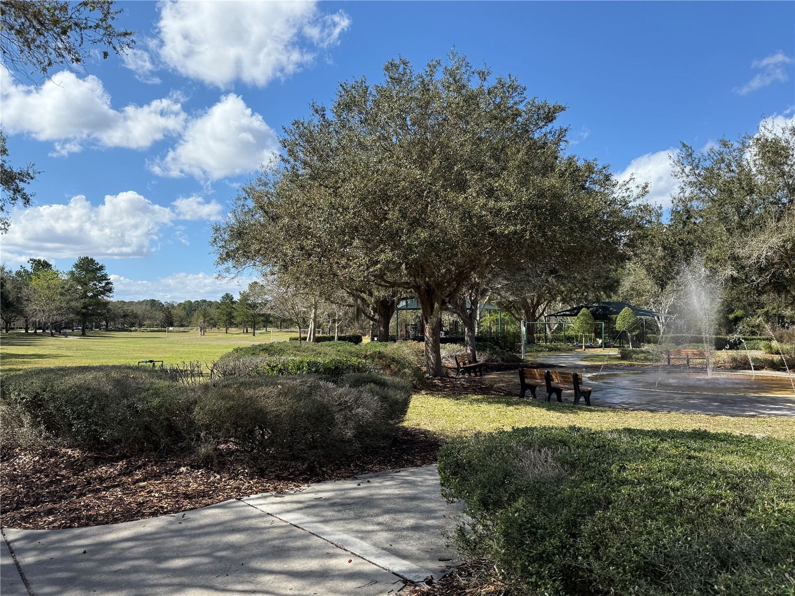 6911 Beargrass Road Harmony FL 34773 - BUCK LAKE AND CAT LAKE O6384577 image47