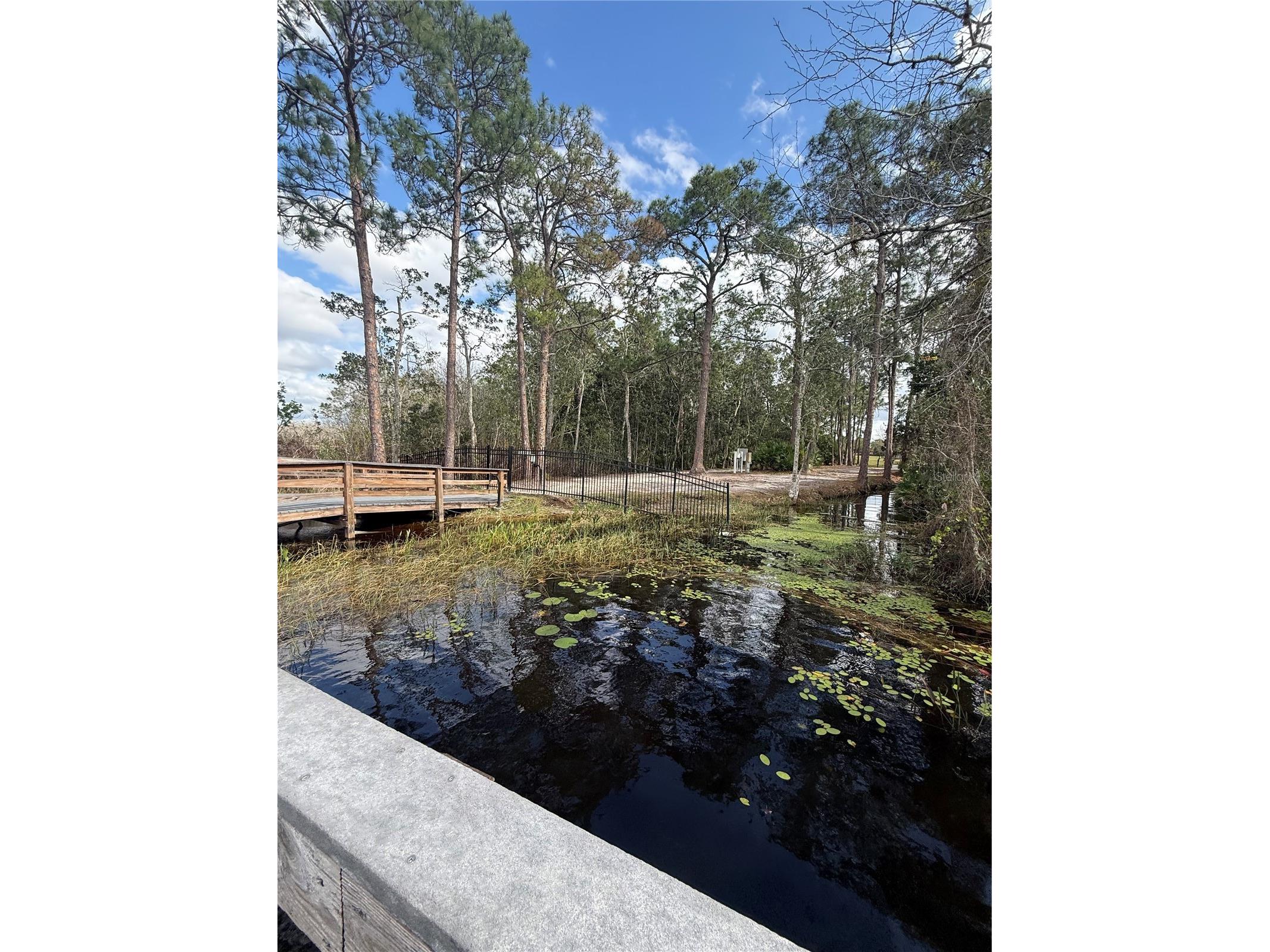 6911 Beargrass Road Harmony FL 34773 - BUCK LAKE AND CAT LAKE O6384577 image52