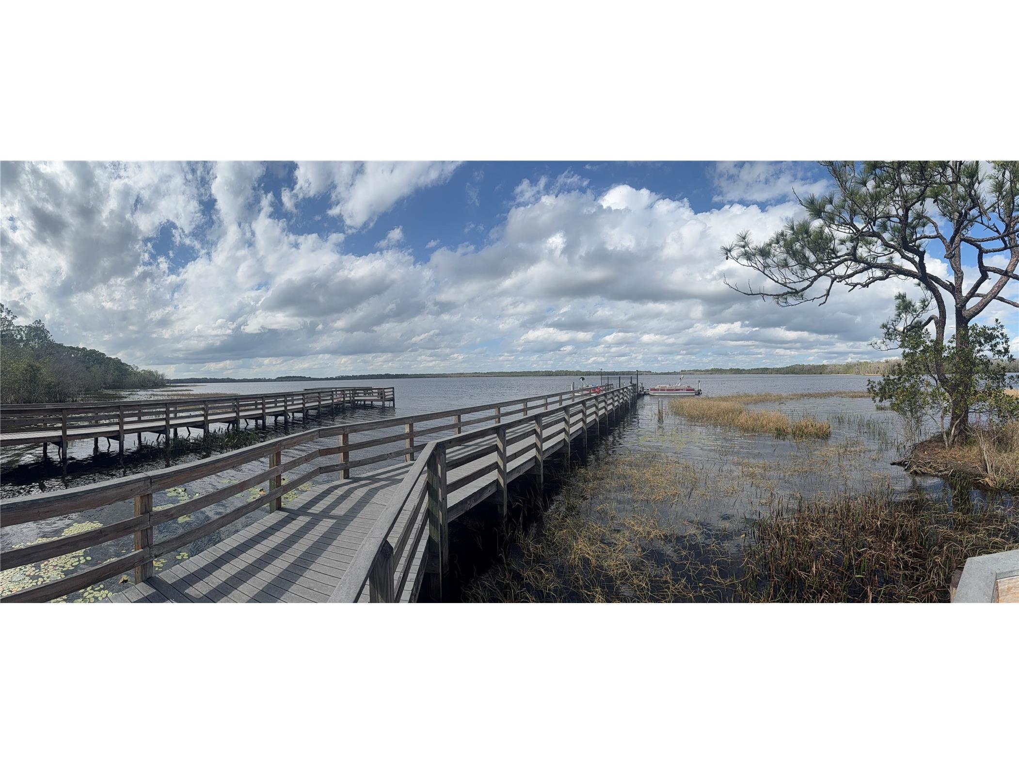 6911 Beargrass Road Harmony FL 34773 - BUCK LAKE AND CAT LAKE O6384577 image55