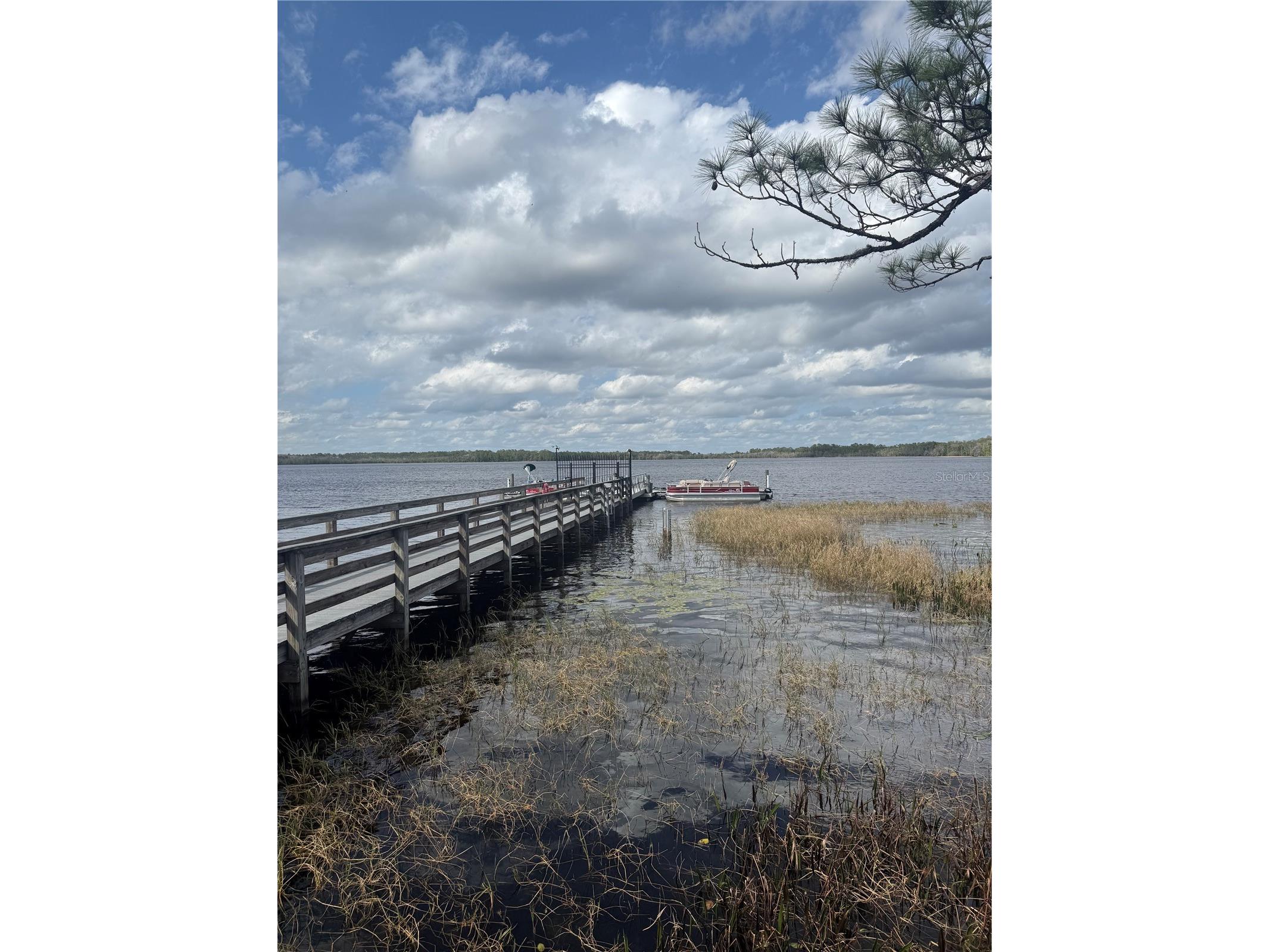6911 Beargrass Road Harmony FL 34773 - BUCK LAKE AND CAT LAKE O6384577 image57
