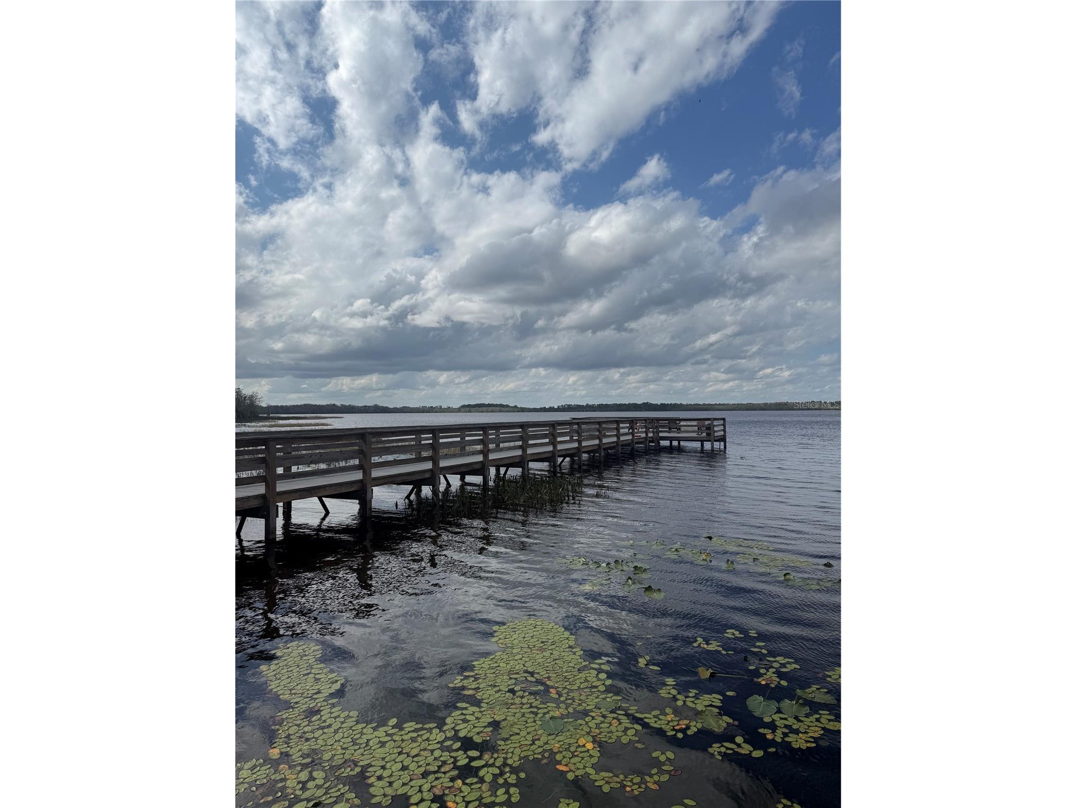 6911 Beargrass Road Harmony FL 34773 - BUCK LAKE AND CAT LAKE O6384577 image59