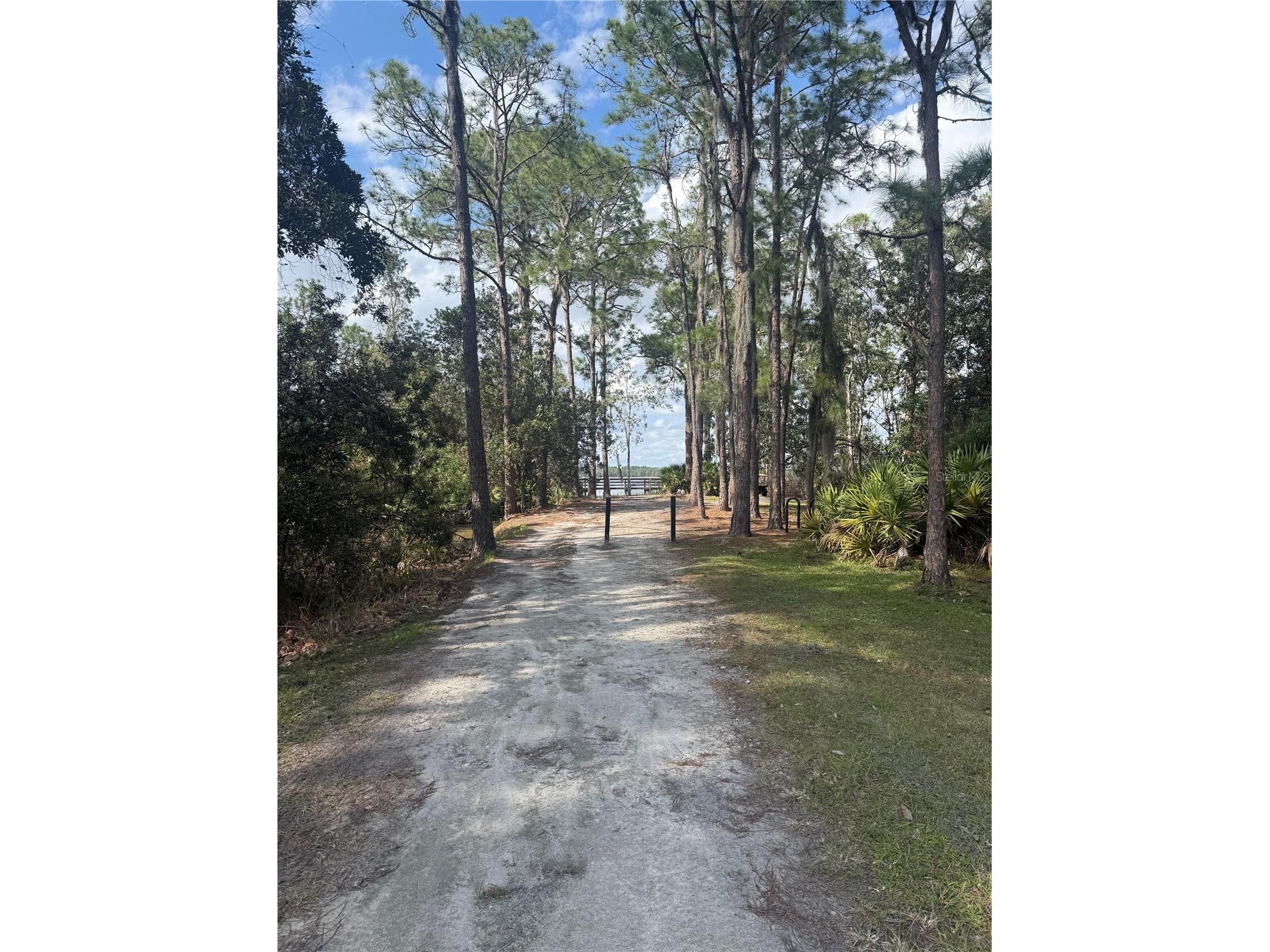 6911 Beargrass Road Harmony FL 34773 - BUCK LAKE AND CAT LAKE O6384577 image60