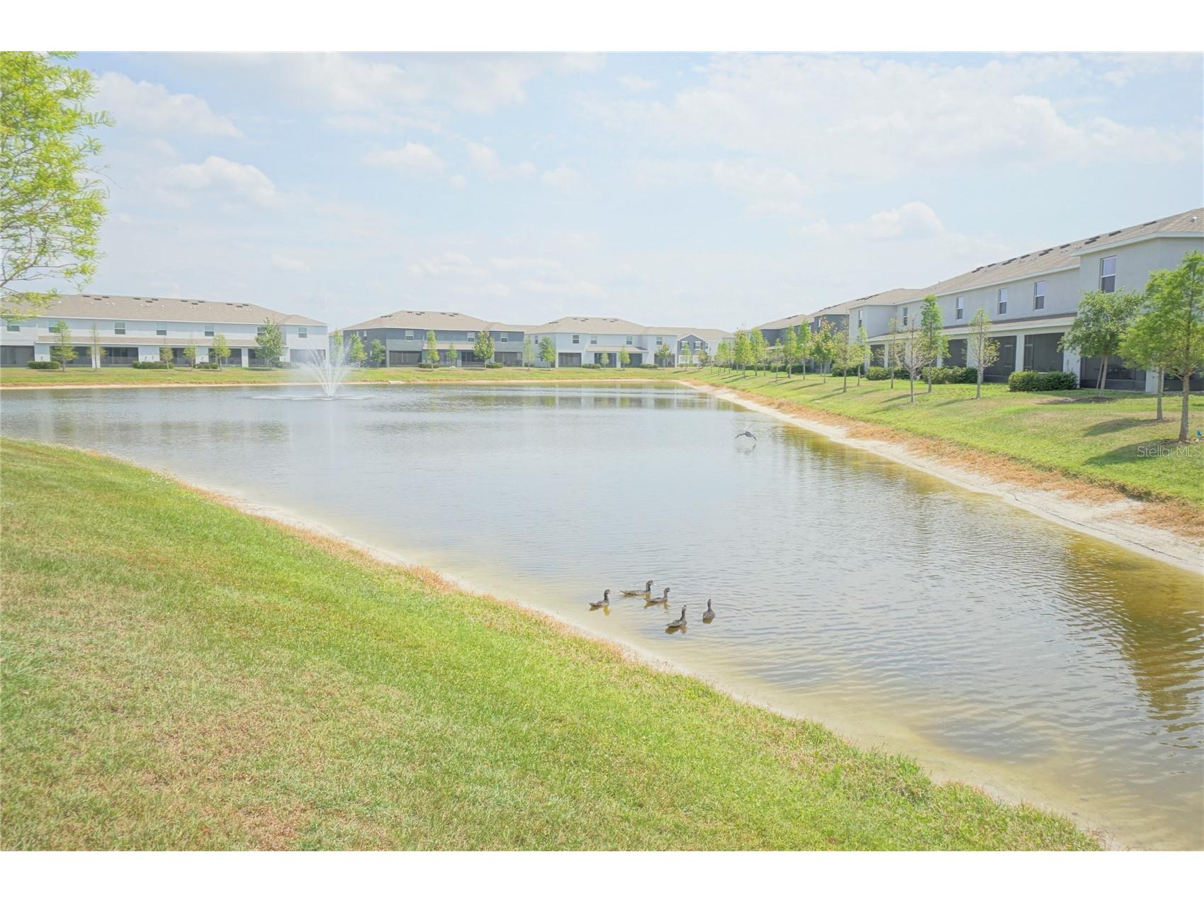 6911 Breezy Palm Drive Riverview FL 33578 TB8475013 image10