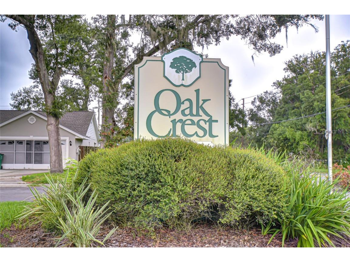 6911 Oakcrest Way Zephyrhills FL 33542 W7881903 image44