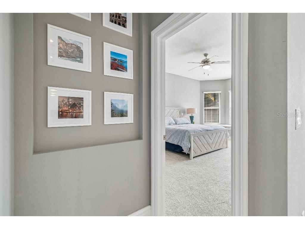 6911 Park Strand Drive Apollo Beach FL 33572 TB8484610 image12
