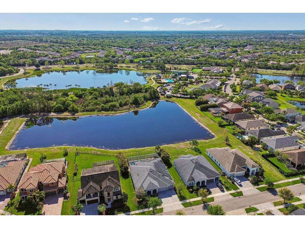 6911 Park Strand Drive Apollo Beach FL 33572 TB8484610 image44