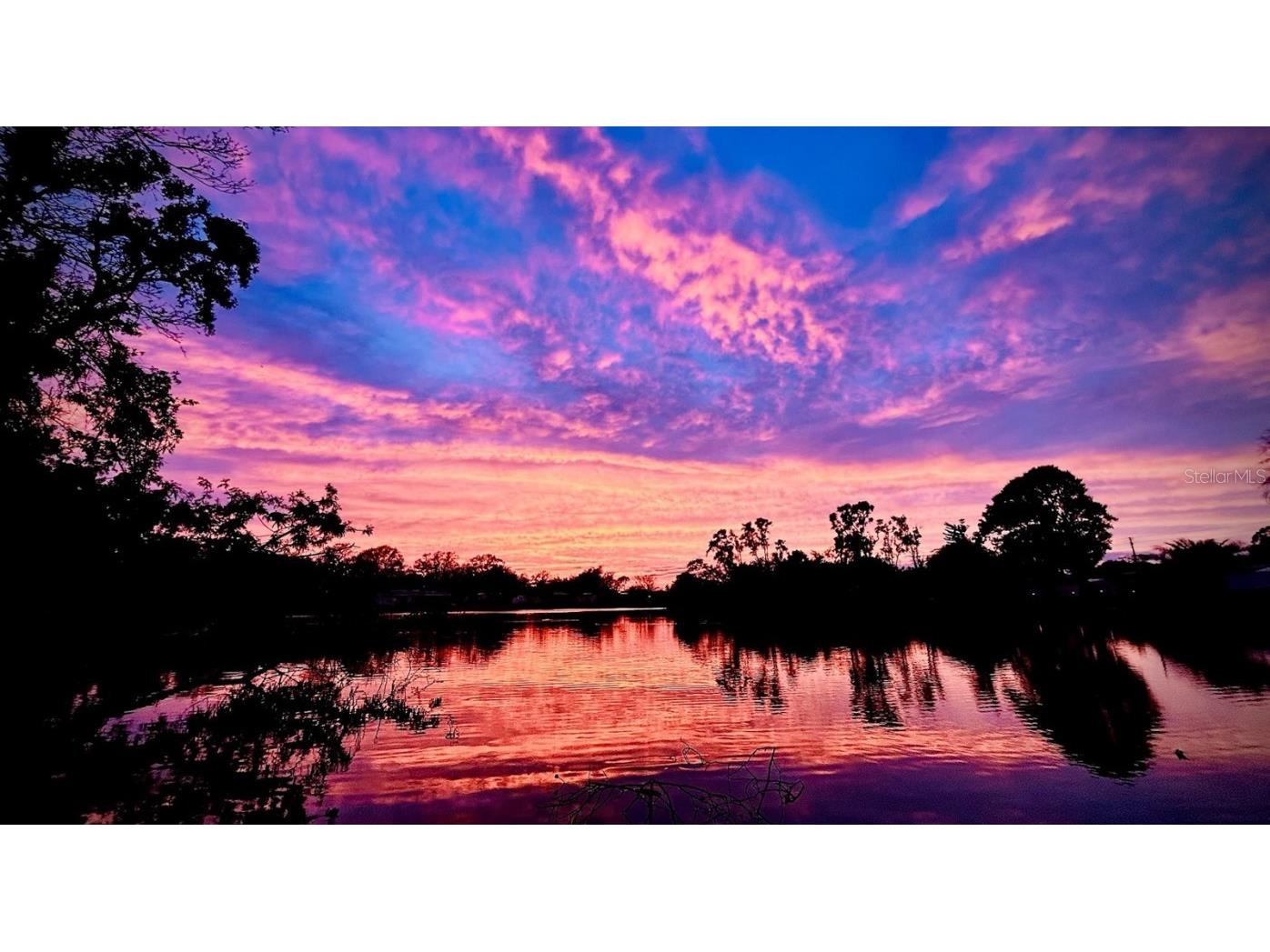 6912 14th Street N #6912 Saint Petersburg FL 33702 TB8395664 image16