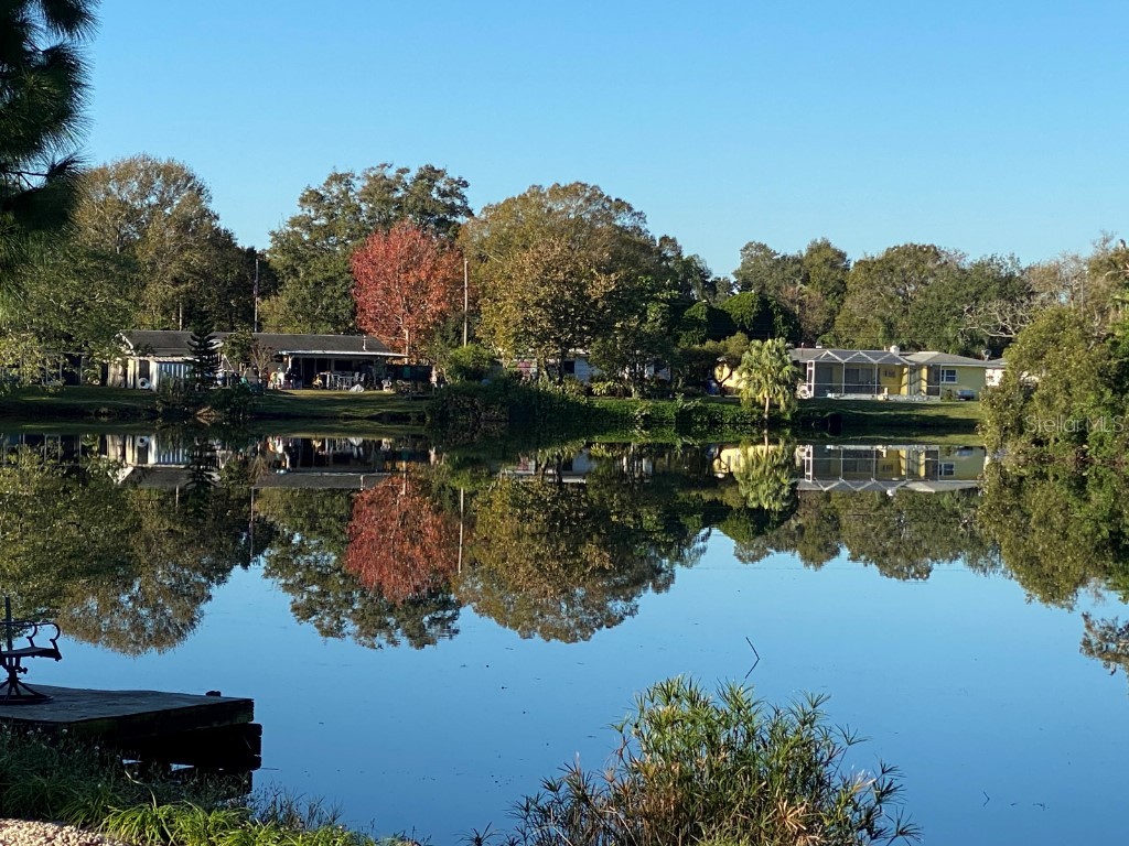 6912 14th Street N #6912 Saint Petersburg FL 33702 TB8395664 image3