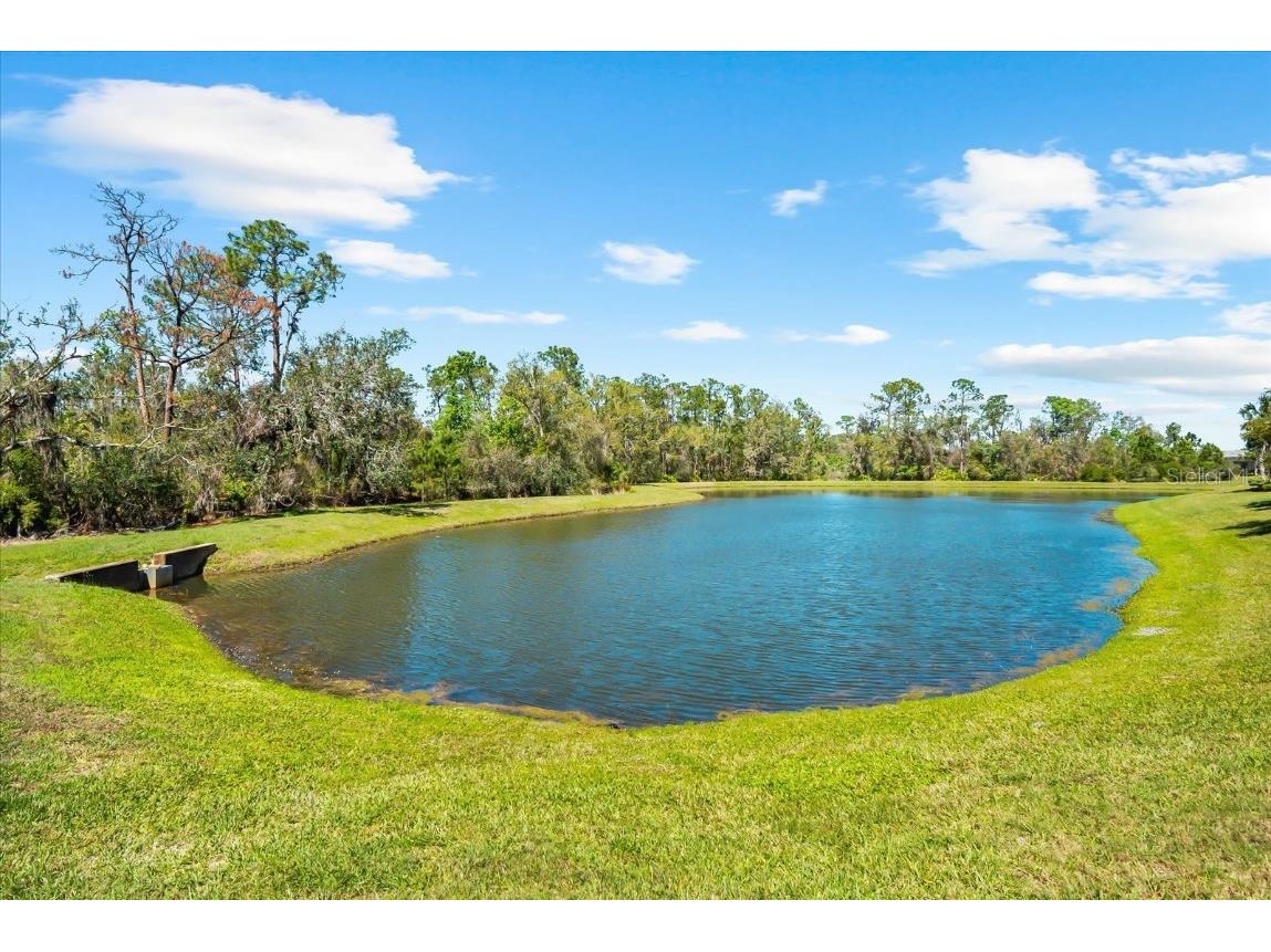 6912 Gosport Cove Bradenton FL 34202 A4667254 image53