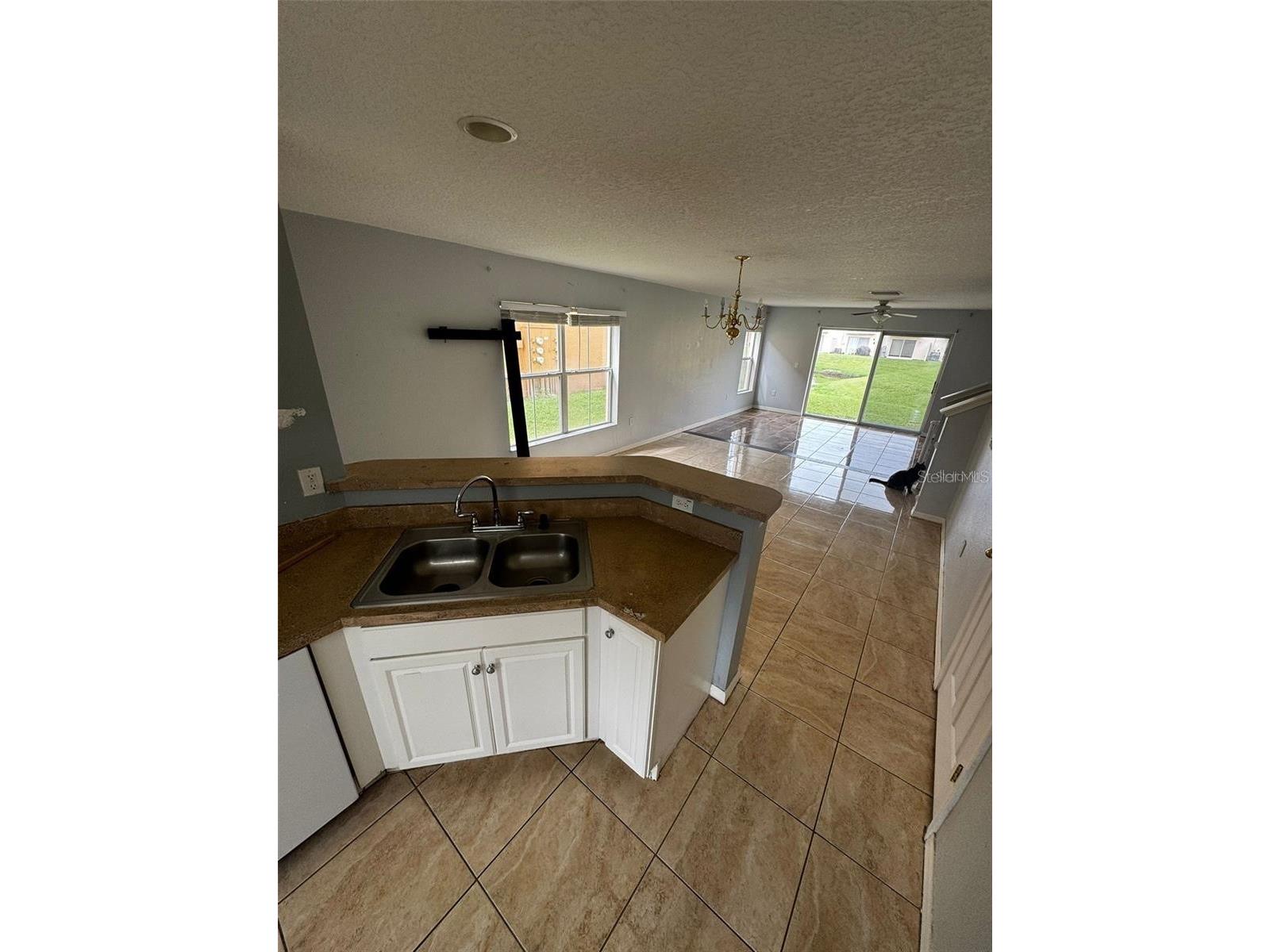 6913 Marble Fawn Place Riverview FL 33578 TB8518278 image13