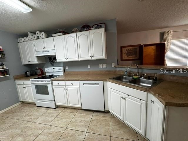 6913 Marble Fawn Place Riverview FL 33578 TB8518278 image3
