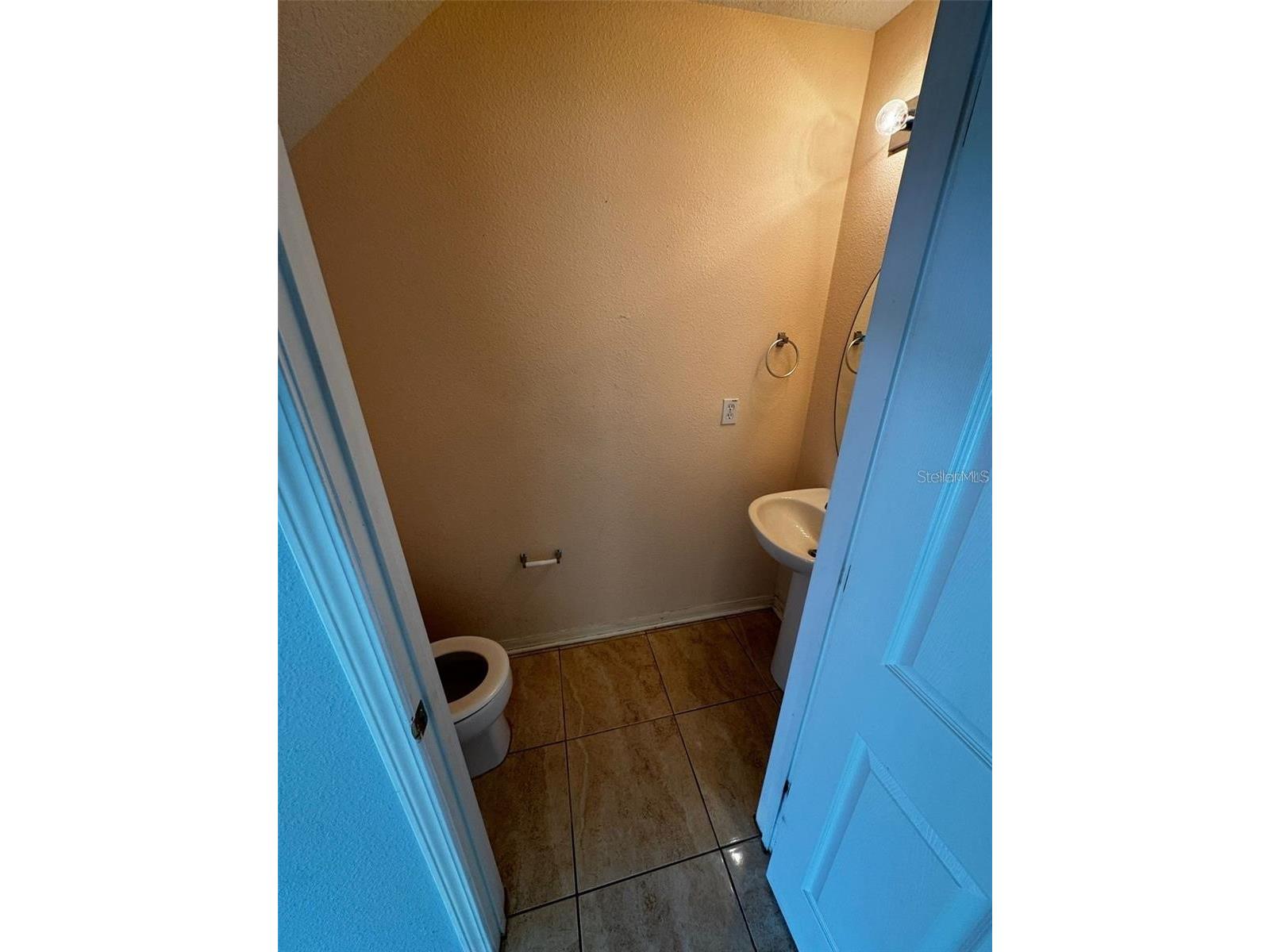 6913 Marble Fawn Place Riverview FL 33578 TB8518278 image7