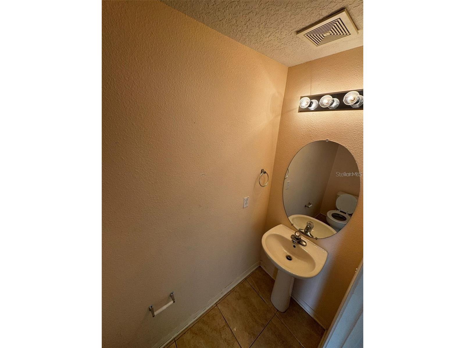 6913 Marble Fawn Place Riverview FL 33578 TB8518278 image8