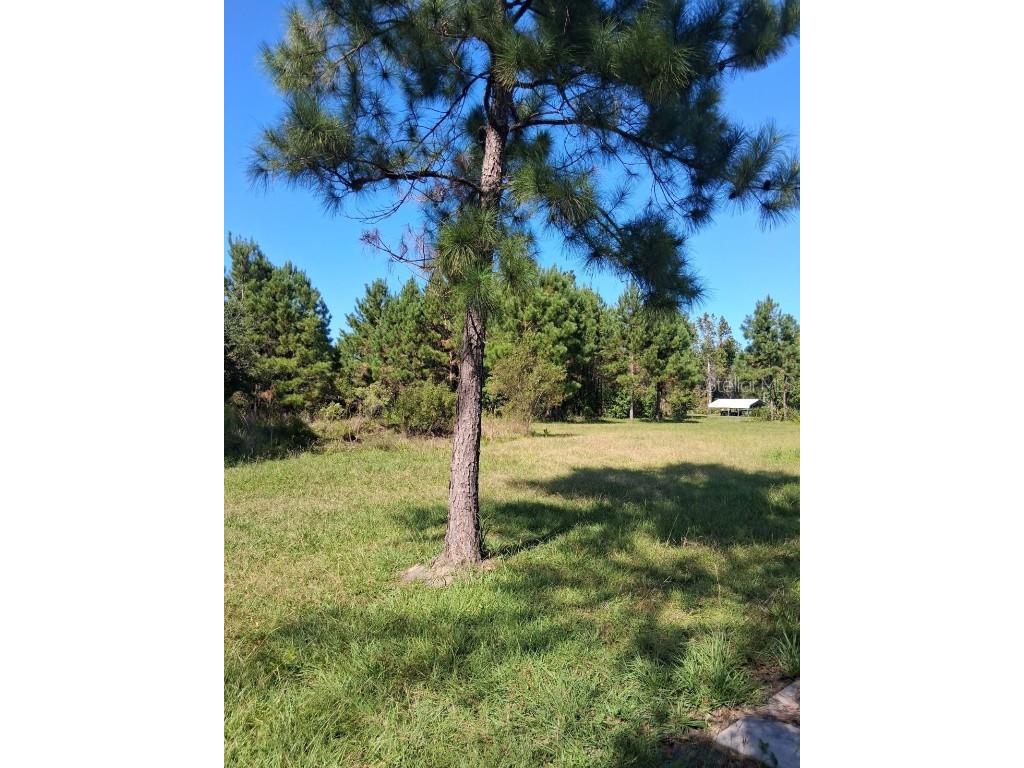 6914 State Road 71 S Blountstown FL 32424 TB8446263 image17