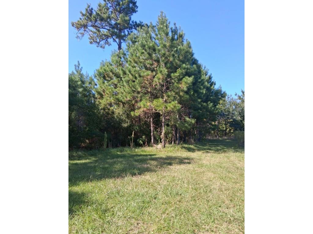 6914 State Road 71 S Blountstown FL 32424 TB8446263 image28