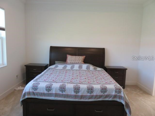 6915 Indus Valley Circle Parrish FL 34219 A4670146 image10