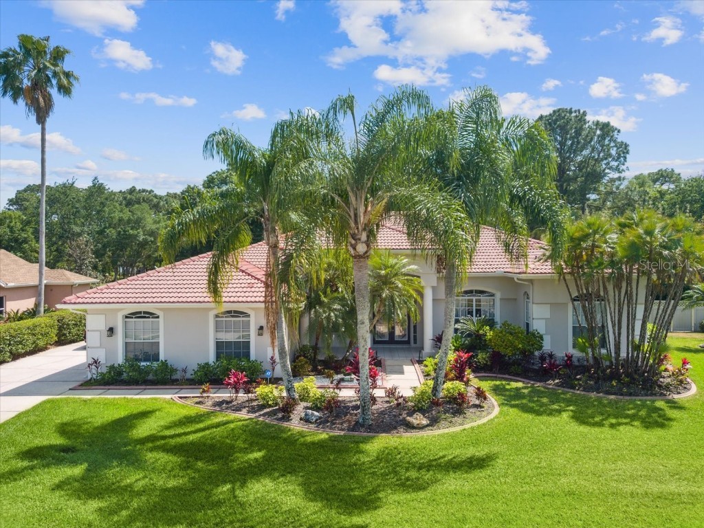 6916 Arabian Road Odessa FL 33556 W7853575 image1