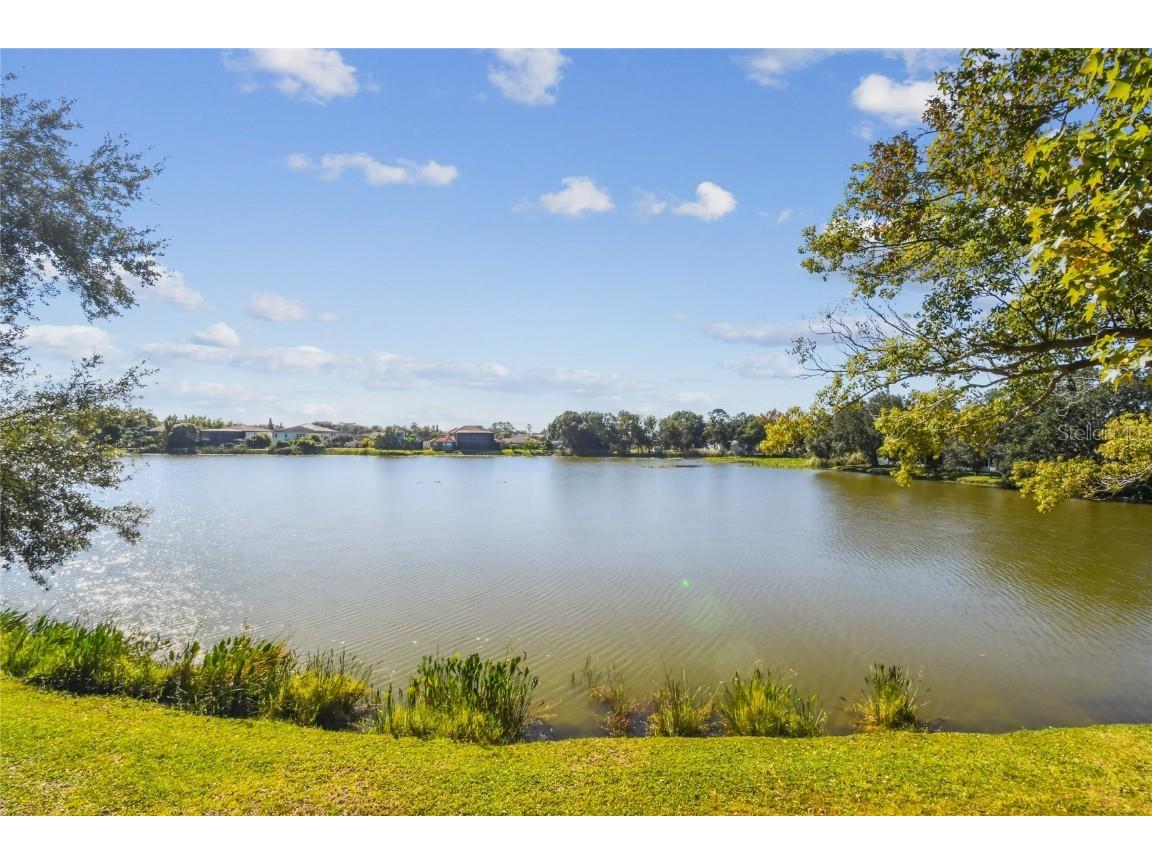 6916 Lake Place Court Tampa FL 33634 TB8445561 image4