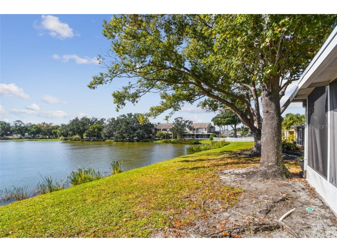 6916 Lake Place Court Tampa FL 33634 TB8445561 image43