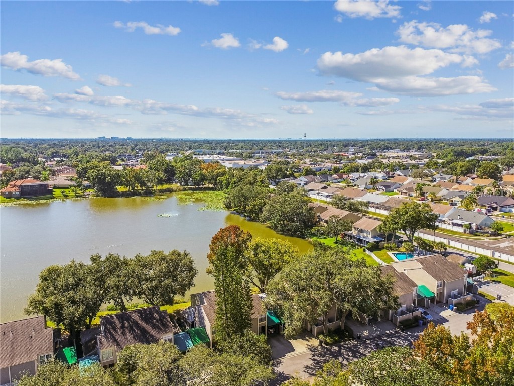 6916 Lake Place Court Tampa FL 33634 TB8445561 image53