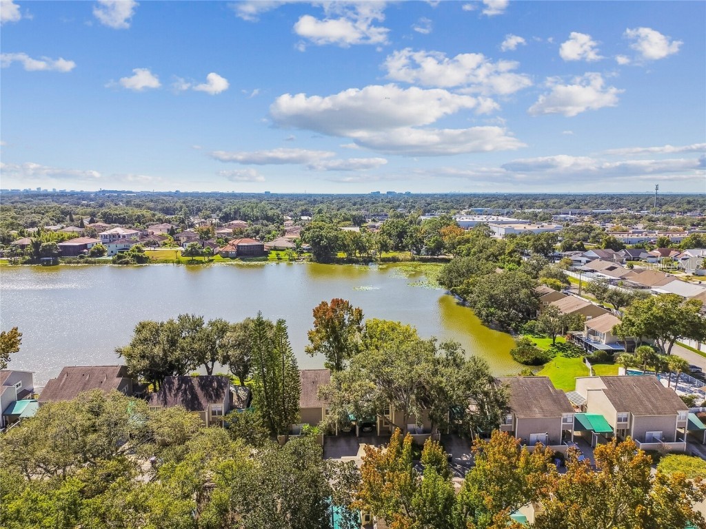 6916 Lake Place Court Tampa FL 33634 TB8445561 image54