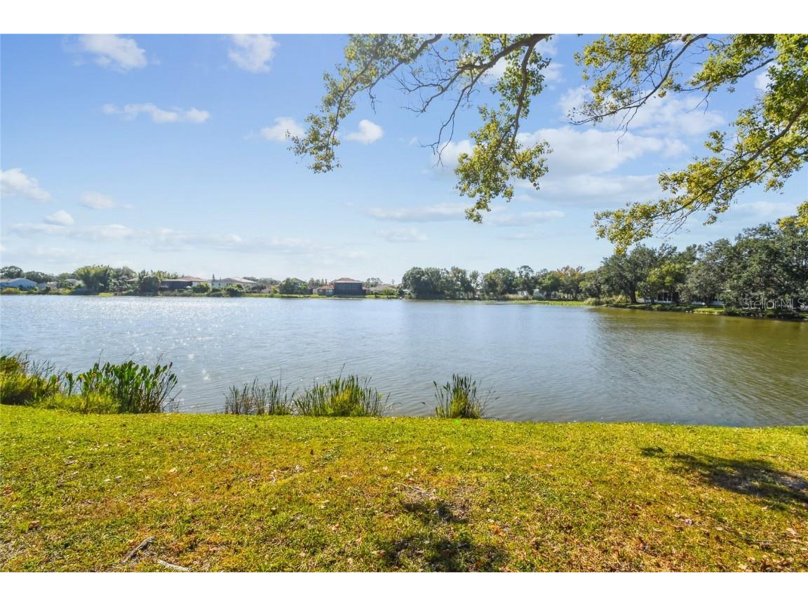 6916 Lake Place Court Tampa FL 33634 TB8445561 image6