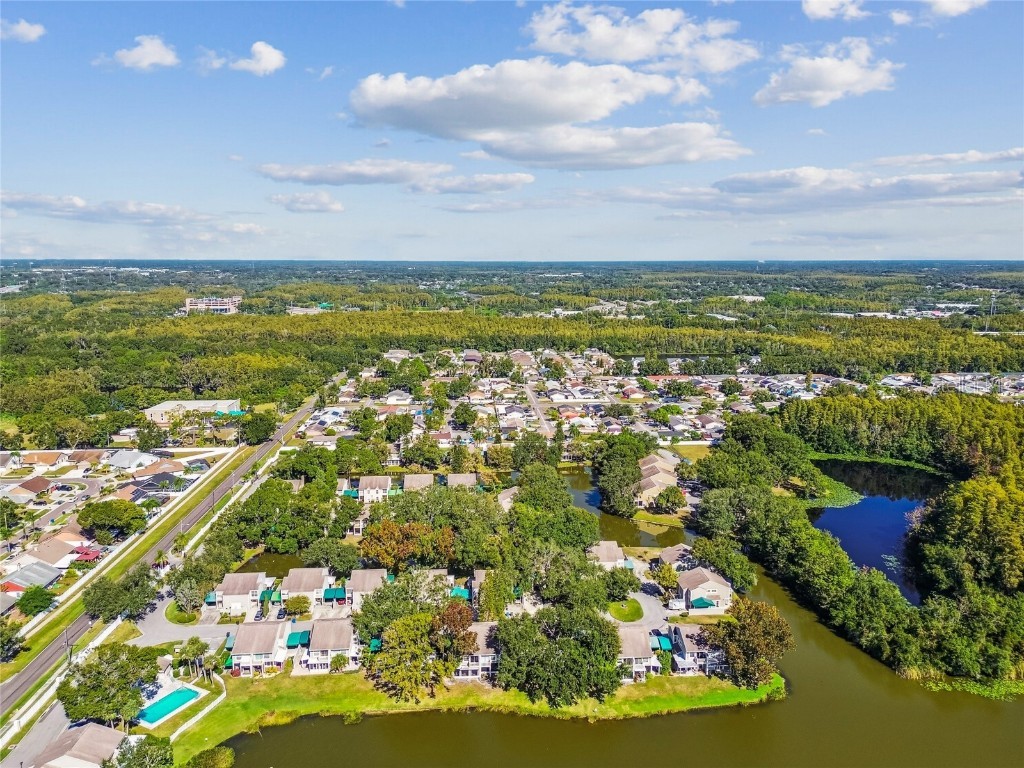 6916 Lake Place Court Tampa FL 33634 TB8445561 image60