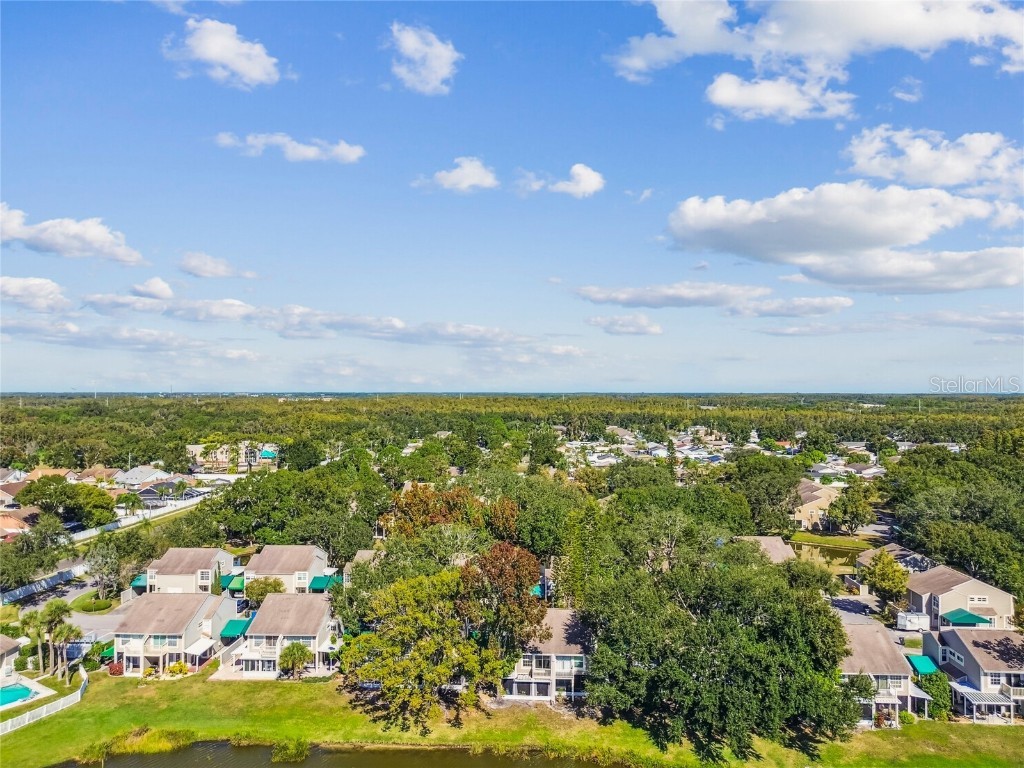 6916 Lake Place Court Tampa FL 33634 TB8445561 image63