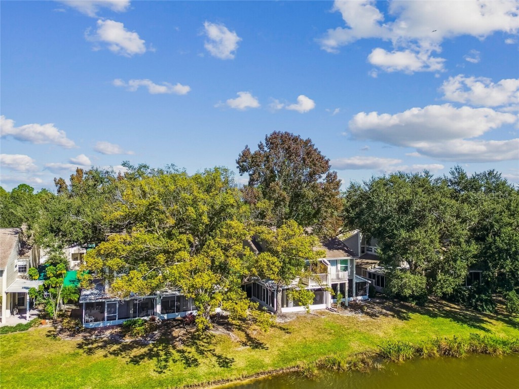 6916 Lake Place Court Tampa FL 33634 TB8445561 image64