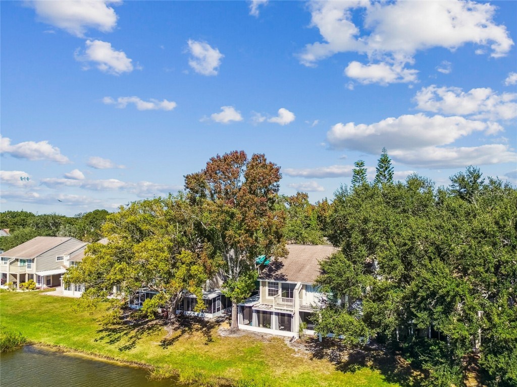 6916 Lake Place Court Tampa FL 33634 TB8445561 image65